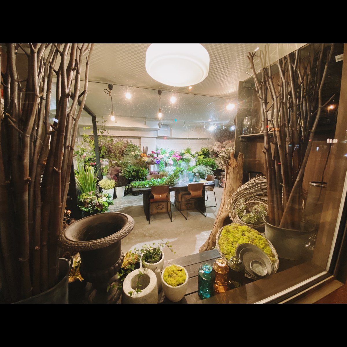 meLL_flowers's tweet photo. 2008年11月1日から11年間、札幌市豊平区水車町で続けてきました「メルフラワーズ」は、建物取り壊しのため店舗移転して、2020年2月1日からは次の住所となりました。〒005-0021 札幌市南区真駒内本町3丁目6-20 EY真駒内 1階。相変わらず一人でやってる小さな花屋です。　https://t.co/rQYAcAB1PQ https://t.co/tmTMhzUjoy