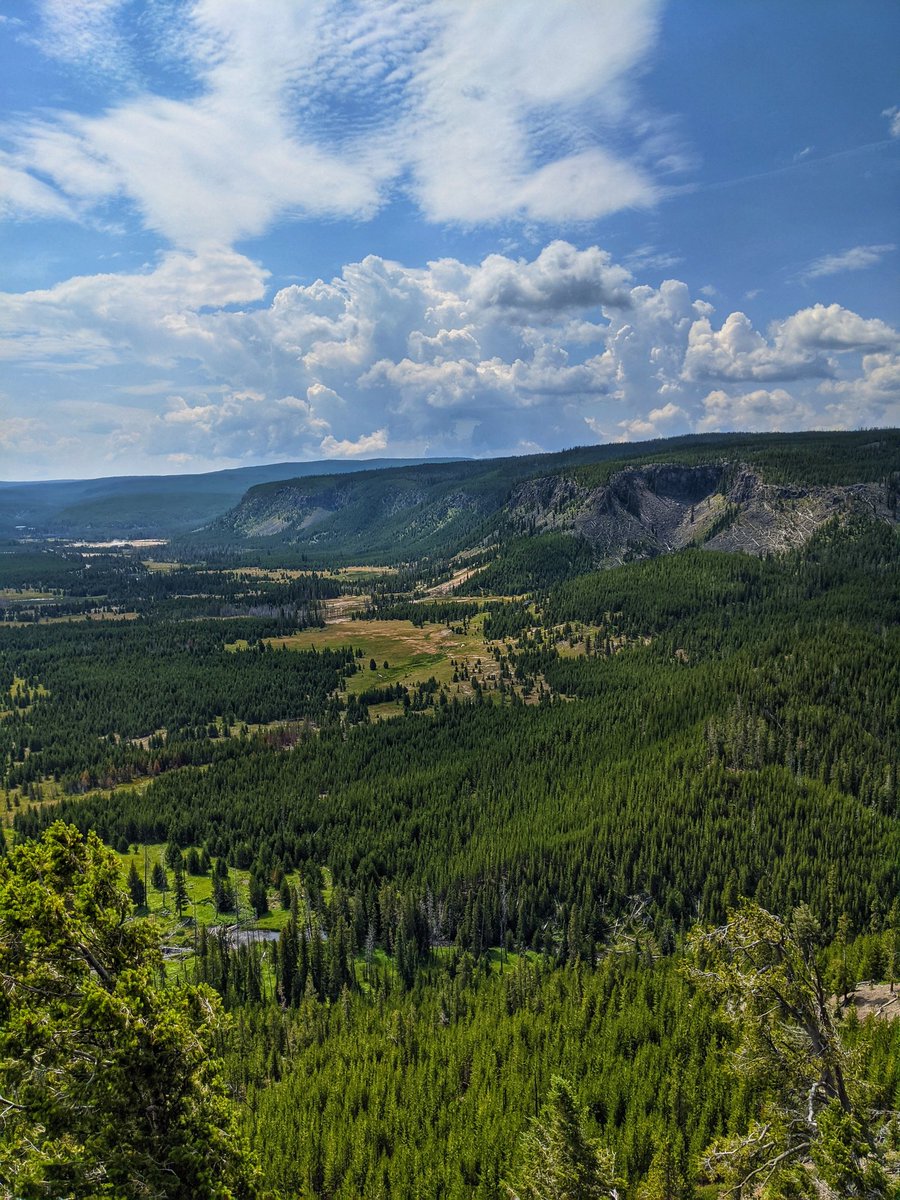 tmwimbish's tweet image. Our trip to @YellowstoneNPS this week was simply breathtaking! 🏞️