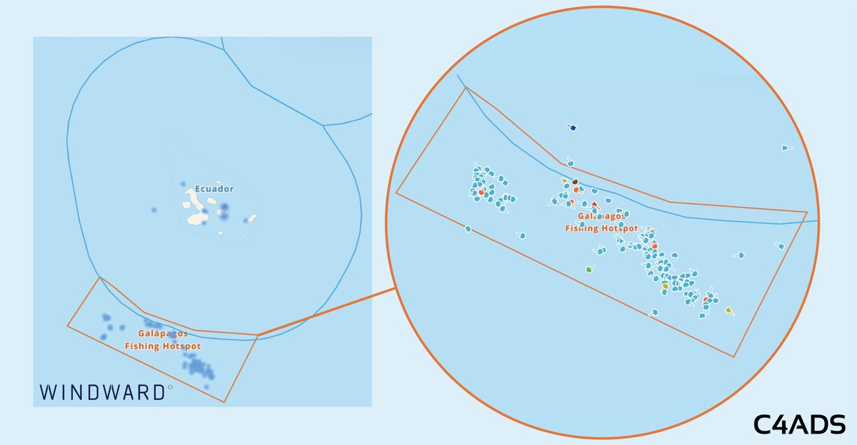 Using  @WindwardOceans, we were able to identify over 300 fishing vessels operating near the Galápagos on July 29, 2020 and watch them in near-real time.