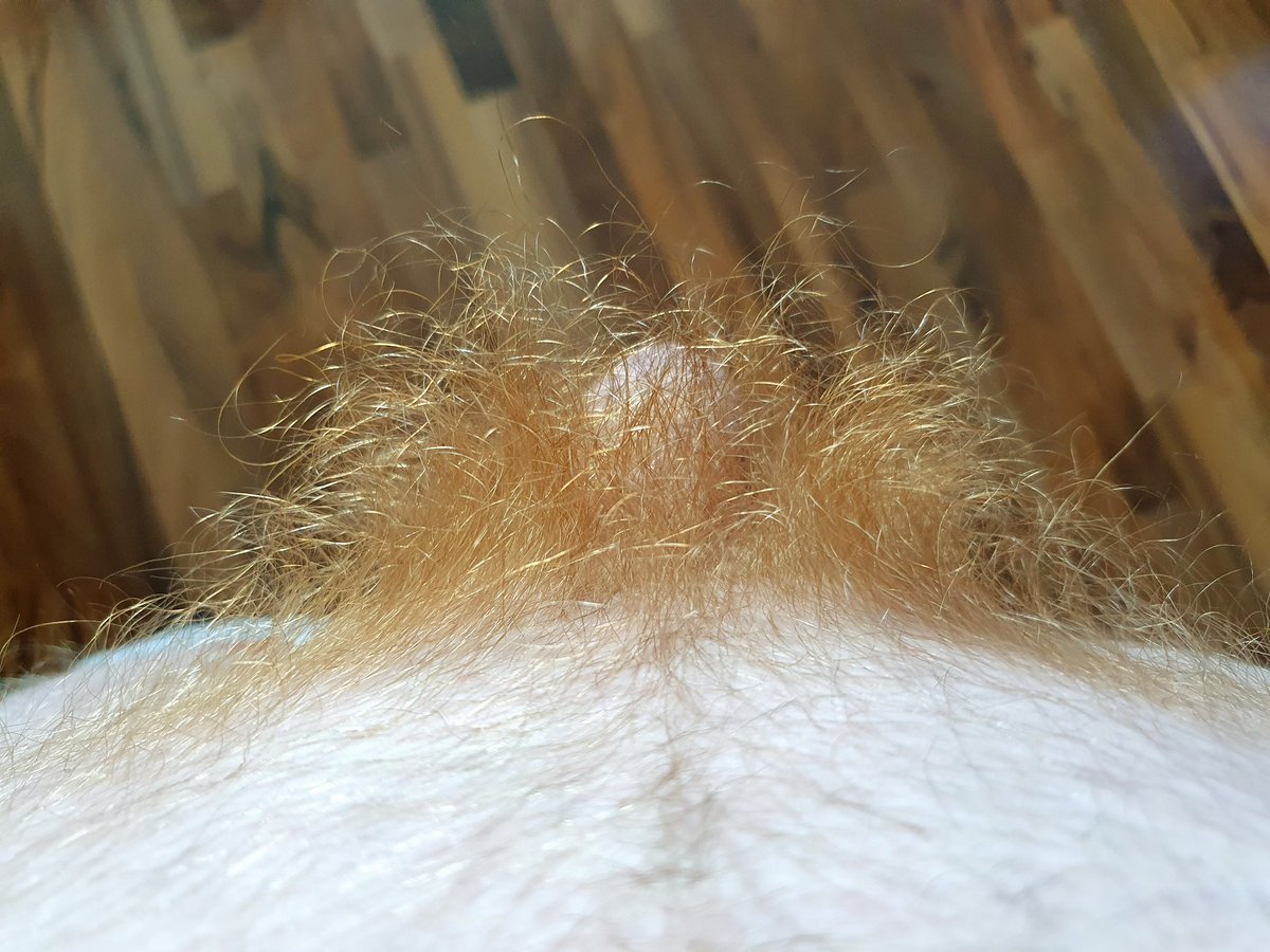 prahaboy's tweet photo. #gay #hairy #uncut #ginger #czechboy #pubes #fetish https://t.co/oHM5ghzpCC