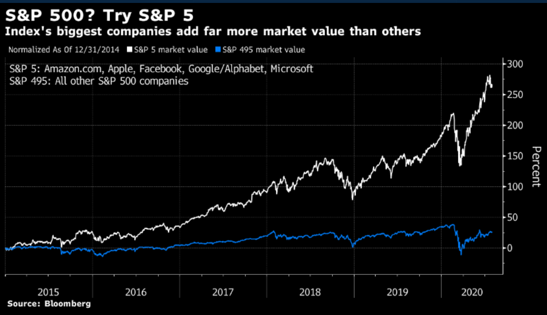 4. How the indexes have managed to undiversify and undo the very logic of their creationThe "S&P 495" has largely gone nowhere for the past 5 yearsBasic tenet of risk control is diversification yet how diversified are you really when 5 stocks are nearly a quarter of the index