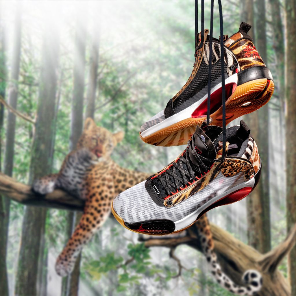 Sneakeralert Gs Sizes Via Nike Us Jayson Tatum X Air Jordan 34 Zoo T Co Ixcpz7feri