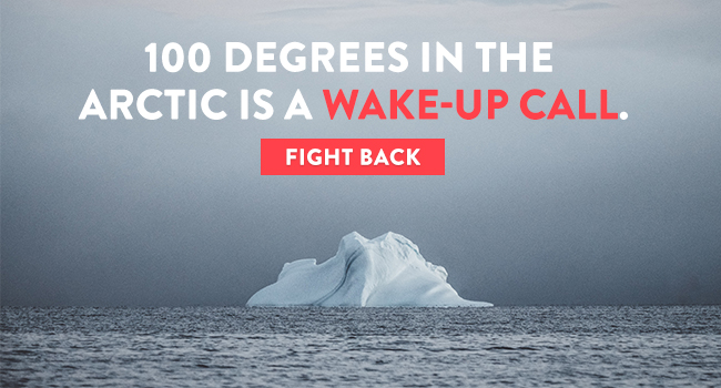 ClimateReality's tweet photo. Change happens when we organize people to speak up in their communities.

We’ve transformed our work and dramatically expanded our grassroots efforts to tackle the #ClimateCrisis. Together, we can make a difference – support our work today: https://t.co/jCwI6HZA0z https://t.co/vvskAN1Iqd