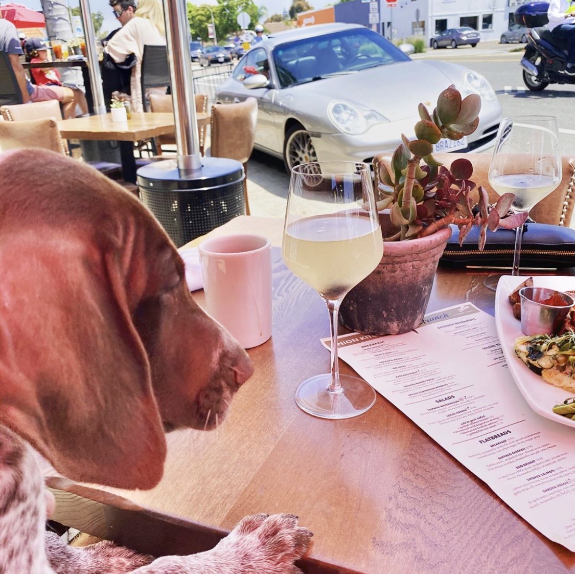 Can we see some ID please, <a href="/boone/">Craig Boone</a>.natureboy?😉 Follow Boone's lead and get your brunch fill this weekend on our outdoor patio!
#DevotedToTheCraft #UnionKitchenTap