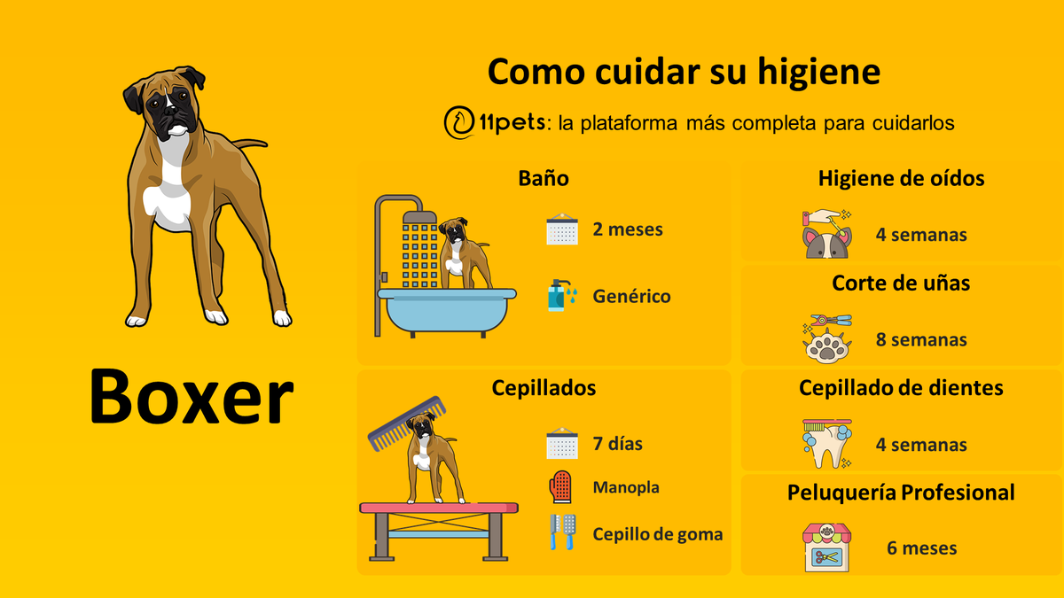 11pets_com's tweet photo. Guía de cuidados de higiene para tu Boxer. La aplicación de 11pets te recordará todo lo que tienes que hacer.
https://t.co/xMlEIQg7lJ
#Boxers #boxerbriefs #petcare #pet #appfordogs #appforpets #puppy #11pets #pethealth #cuidar https://t.co/SAVa77zhHX
