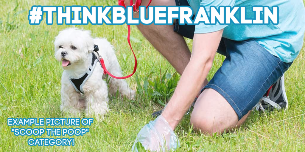 TOFranklinMA's tweet photo. Our #thinkbluefranklin photo contest is well underway! Help us spread awareness about keeping our water clean! You will be entered to win a $100 Amazon Gift Card! Entries are due by August 16th! Learn more at https://t.co/Rkjtq1ESJf https://t.co/qug5SVgPKx