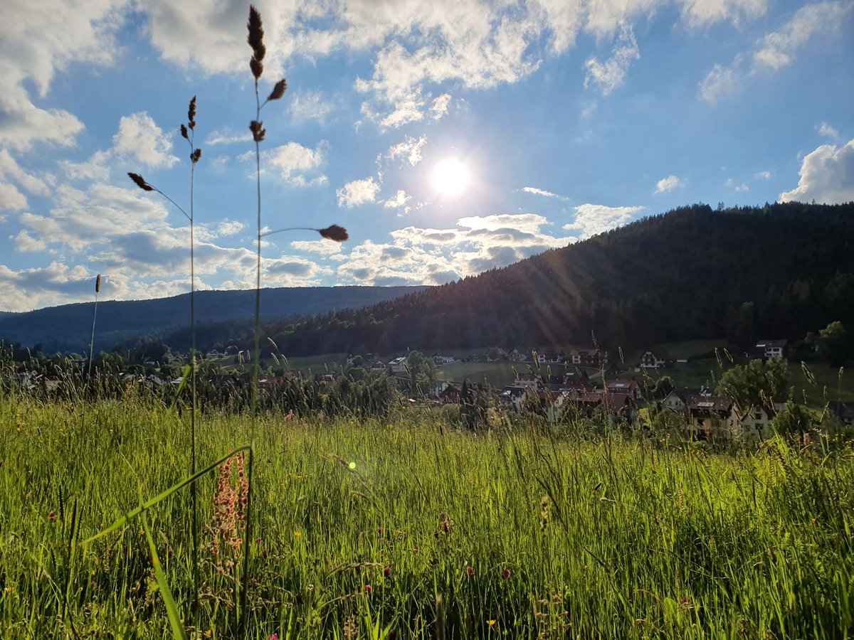 Traube Tonbach tweet media