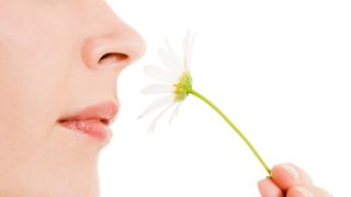Tradmedtalks's tweet photo. How #COVID19 causes smell loss-Loss of smell or #anosmia is one of the earliest and most commonly reported symptoms of COVID-19.  New study identifies #cell types most vulnerable to infection by the novel coronavirus, #sensoryneurons involved in smell not among the cell types https://t.co/okercTrc3Y
