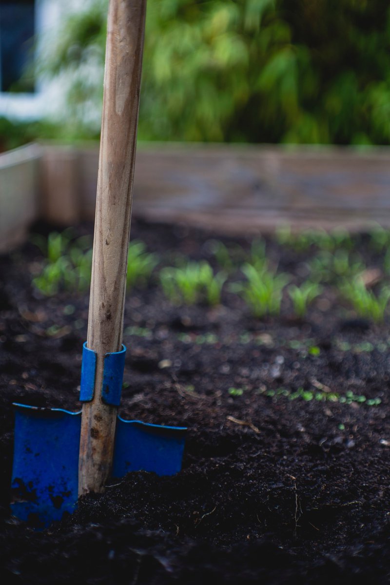 Highlight: Food Insecurity Fridays
Have you been considering how you can enhance the soil for your plants?

Compost? You've probably heard of it! It is rich in nutrients and an organic fertilizer! Compost is made up of organic waste like banana peels, bread, and coffee grounds.