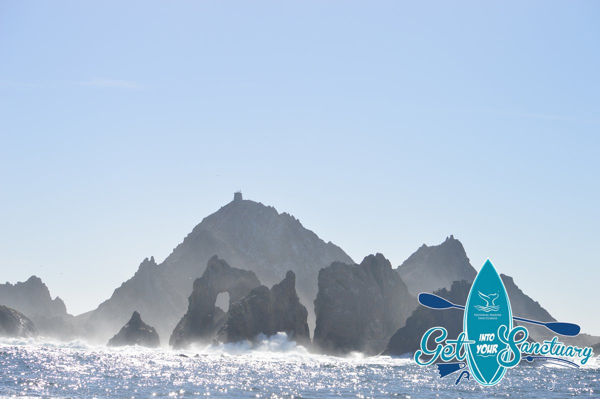 sanctuaries's tweet photo. Adventure awaits in just 30 minutes! Join us at https://t.co/CIz3z7TWej for our Facebook WatchParty to take a wildlife cruise in Greater Farallones National Marine Sanctuary (@GFNMS)! #VirtualGIYS #ILoveMySanctuary https://t.co/Phkvwws5I0