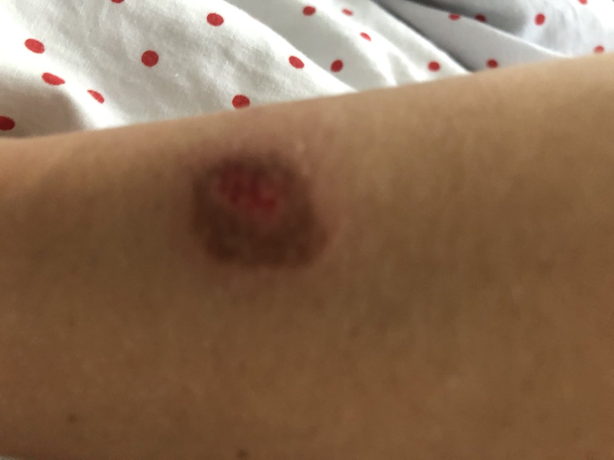 Grow Digga tweet media