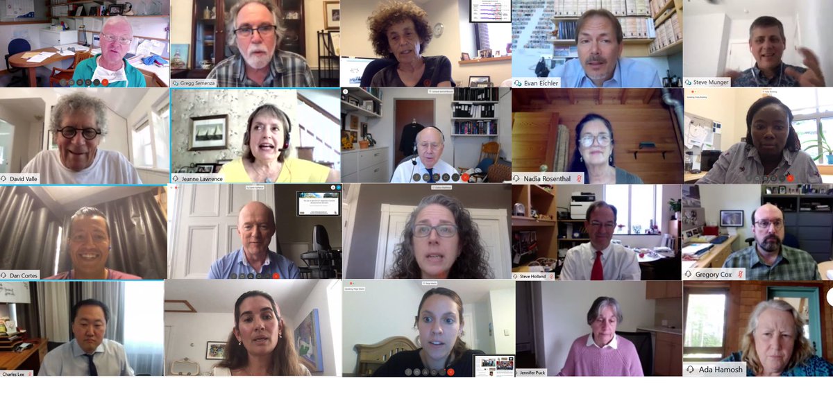 JAX_Education's tweet photo. What an amazing week! Here are just a few of the faces that made our first ever Virtual McKusick #BHShortCourse so memorable. 

Thank you to everyone who participated. We can’t wait to see you all next year! https://t.co/QuhvhA9M2p