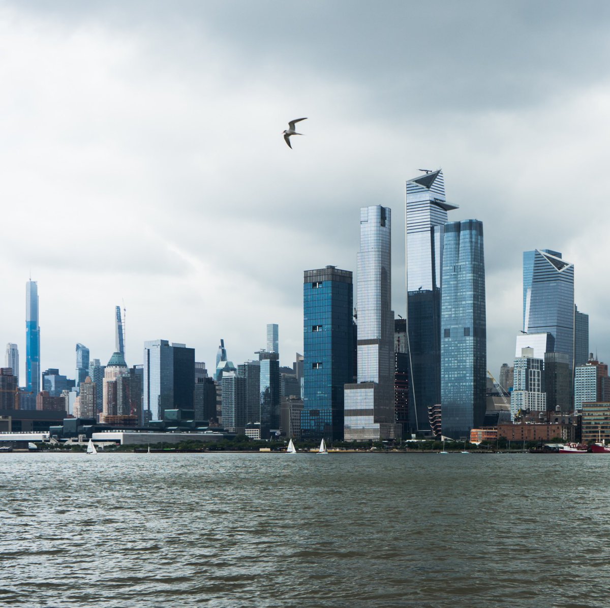 tommygeenyc's tweet photo. “Take me to the magic of the moment, where the children of tomorrow share their dreams.” 🕊
#SonyImages #NYC 🗽 @_HudsonYardsNYC @EdgeNYC @nycgo @nycfeelings @NBCNewYork @fox5ny @ABC7NY @CBSNewYork @newyorklovenyc @SonyImages https://t.co/SBdBtSjTo1