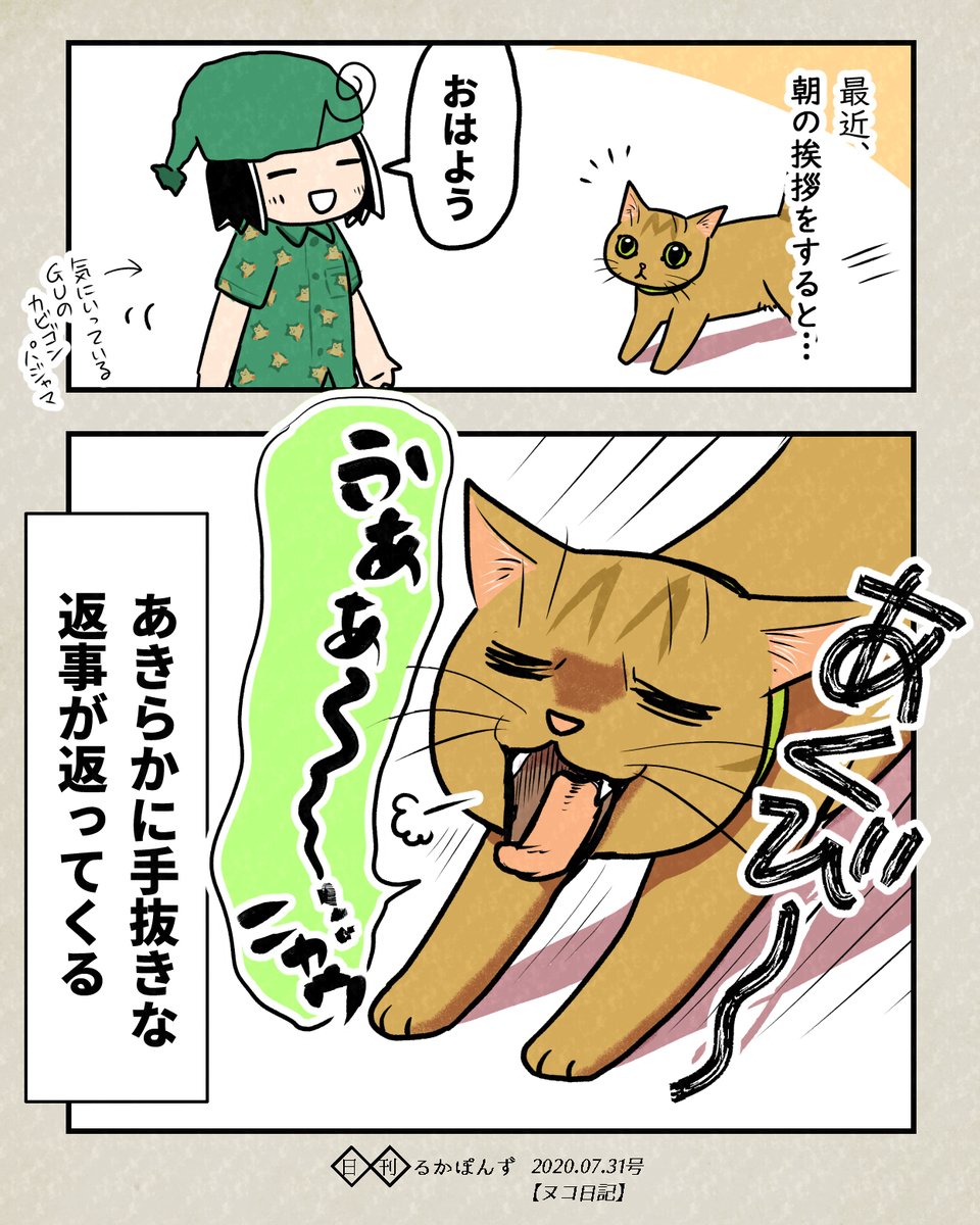 【ヌコ日記】手抜きをされる飼い主(だがヌコは可愛い)

#ヌコ日記 #猫のいる暮らし 