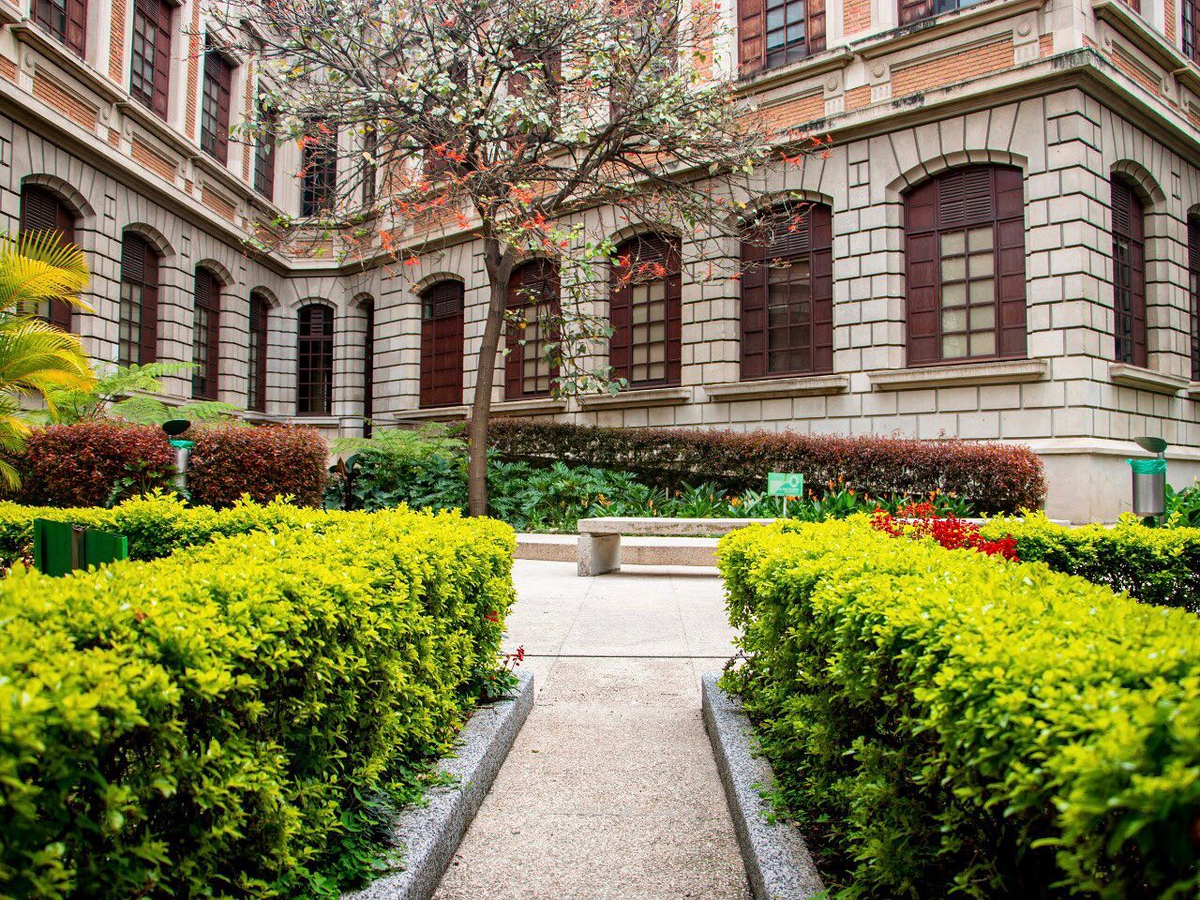 Medicina_UdeA's tweet photo. ¡Otro motivo para estar felices! 💚 Residentes de último año terminan su ciclo académico hoy 31 de julio y se graduarán el 19 de Agosto, logro que favorecerá la disponibilidad del recurso humano en salud con altos estándares académicos y éticos 

Entérate👉https://t.co/lhflXmCNzk https://t.co/PdHcAs4zYu