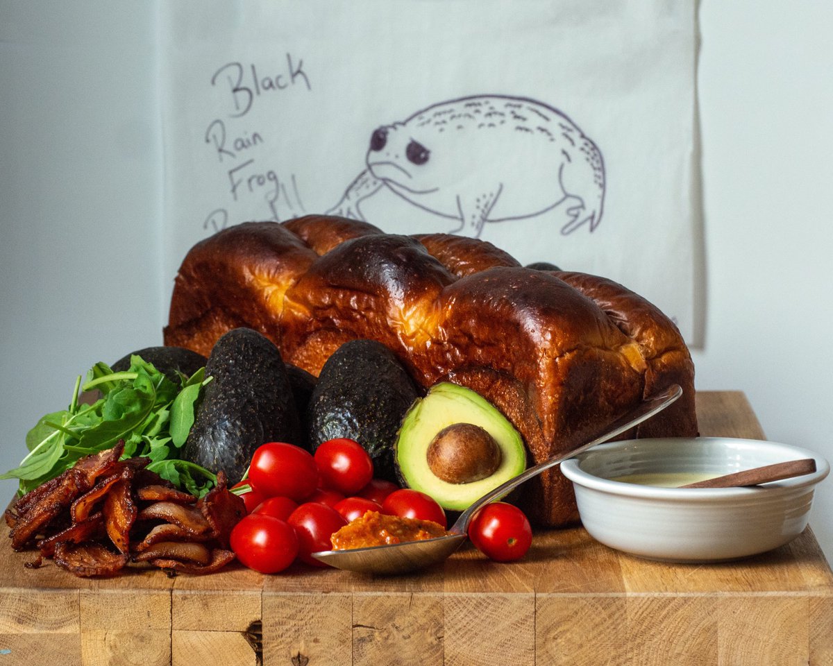 TulipStKitchen's tweet photo. On National Avocado Day, we’re celebrating the Avocado and the Avocado-like Black Rain Frog with a B.L.A.T. 🥑 

Hokkaido Milk Bread, Mashed Avocado, Cider Vinegar Mayo, Bacon, Arugula, Charred Tomato Business

#tulipstreetkitchen #animalbread https://t.co/vkyrW4L5RT