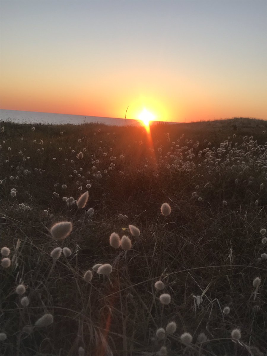 Sosoarnaud's tweet photo. https://t.co/jRa1UPiRCE