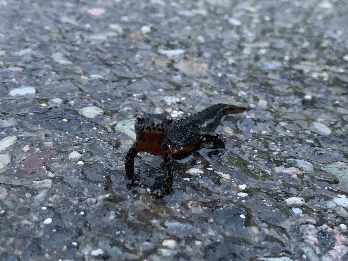 Oops I can’t count. So now here’s the 14th tweet to justify that n/14 