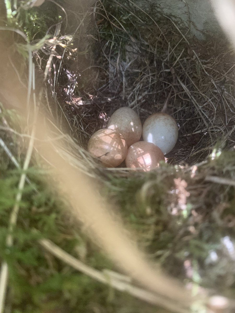 Finally, just some miscellaneous pictures from the season: (11/n)