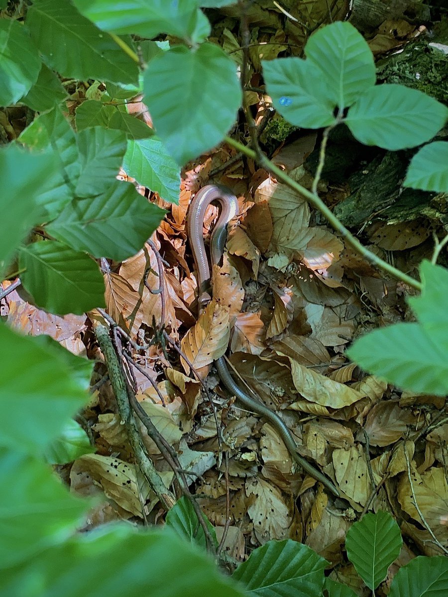 Finally, just some miscellaneous pictures from the season: (11/n)