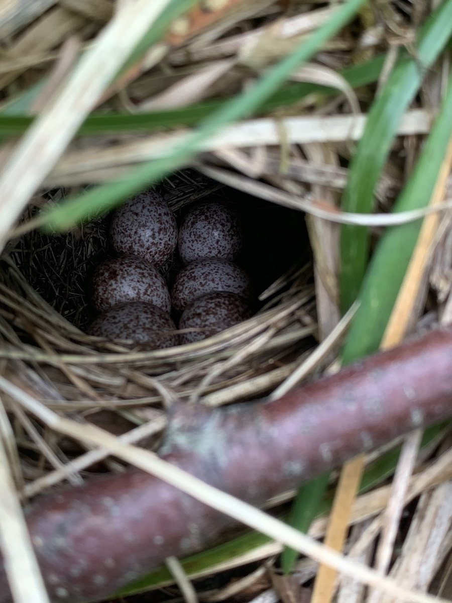 Finally, just some miscellaneous pictures from the season: (11/n)