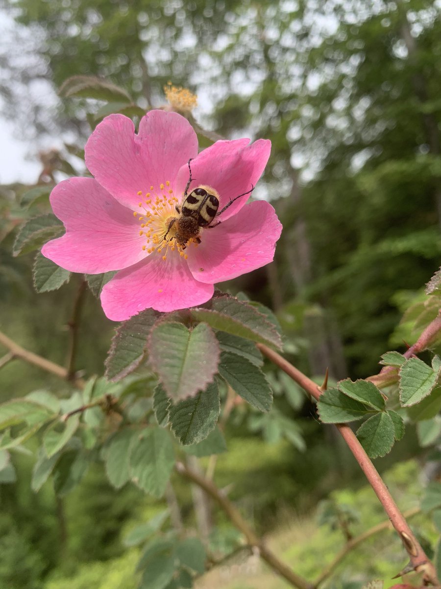 Finally, just some miscellaneous pictures from the season: (11/n)