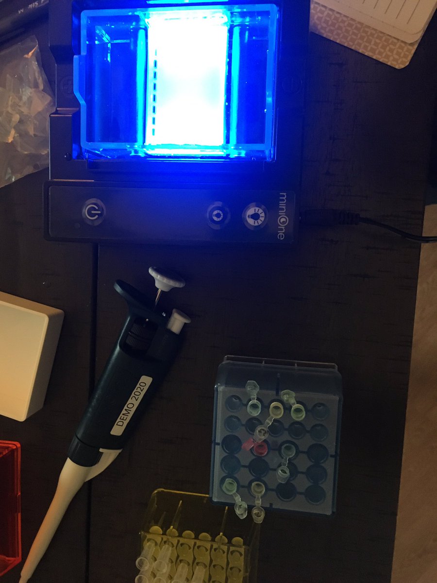 CheriReznicek's tweet photo. Seriously awesome virtual professional development! I mean they shipped us electrophoresis equipment to try out! Thanks so much @CollegeBoard and Shamone Minzenmeyer! #apbio #minionesystems https://t.co/Dt5nr8cEFt