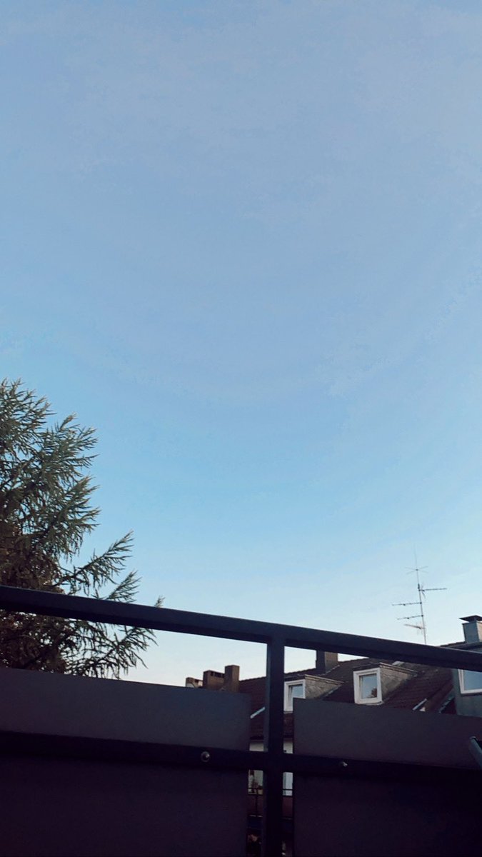 Stricker 🌴 tweet media