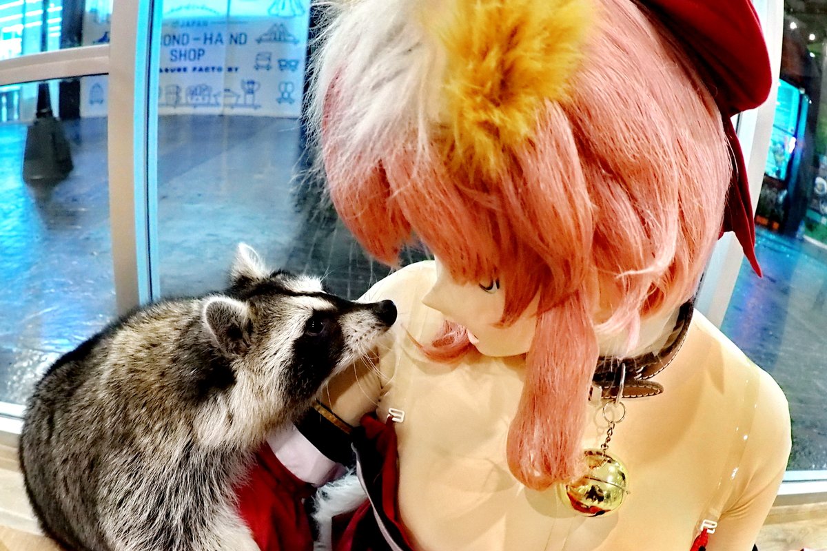 horosama's tweet photo. With kemono friends. https://t.co/g7lgU6HrGR