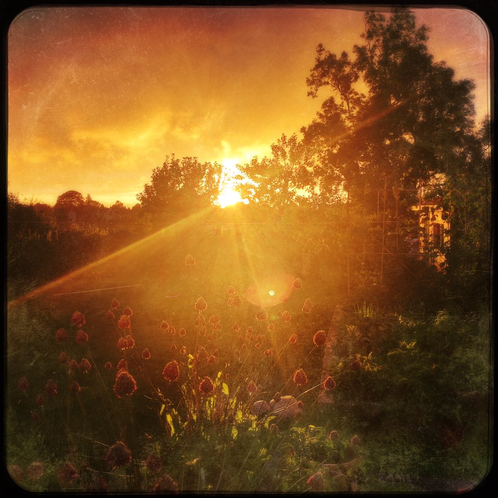 Prof Alice Roberts💙 tweet media