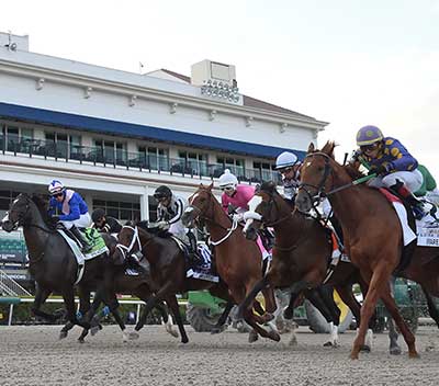 Daniel Pita Dpitastable Twitter