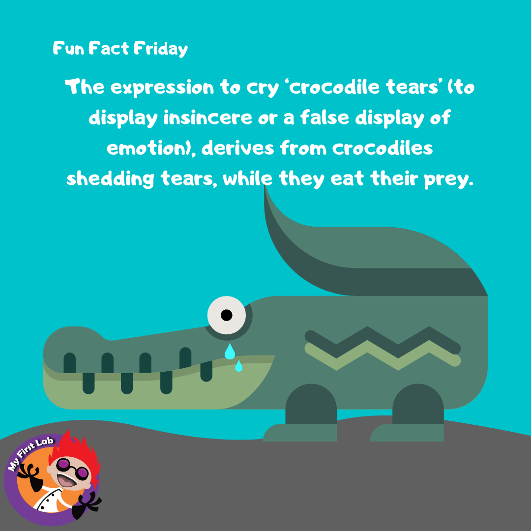 MyFirstLab's tweet photo. Check out this fun fact Friday about crocodiles! Follow us for more fun facts every Friday!
-
https://t.co/tY5VQ3XUiD
-
#MyFirstLab #MFL #STEM #STEMeducation #FunFactFriday #FunFact #FFF #KidScience #STEMFun #STEMforKids https://t.co/PErcaRP4Pb