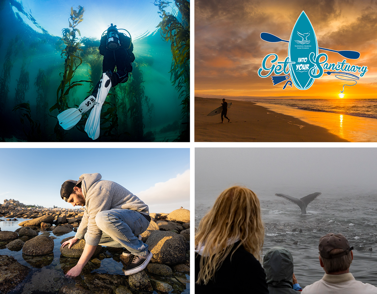 MBNMS's tweet photo. Today is the day! Join @sanctuaries Facebook page at 3:00 PM PDT to celebrate @MBNMS #VirtualGIYS! https://t.co/EvpC8upIEA

#ILoveMySanctuary #RecreateResponsibly #kayaking #diving #surfing https://t.co/lZwtqVyLQE