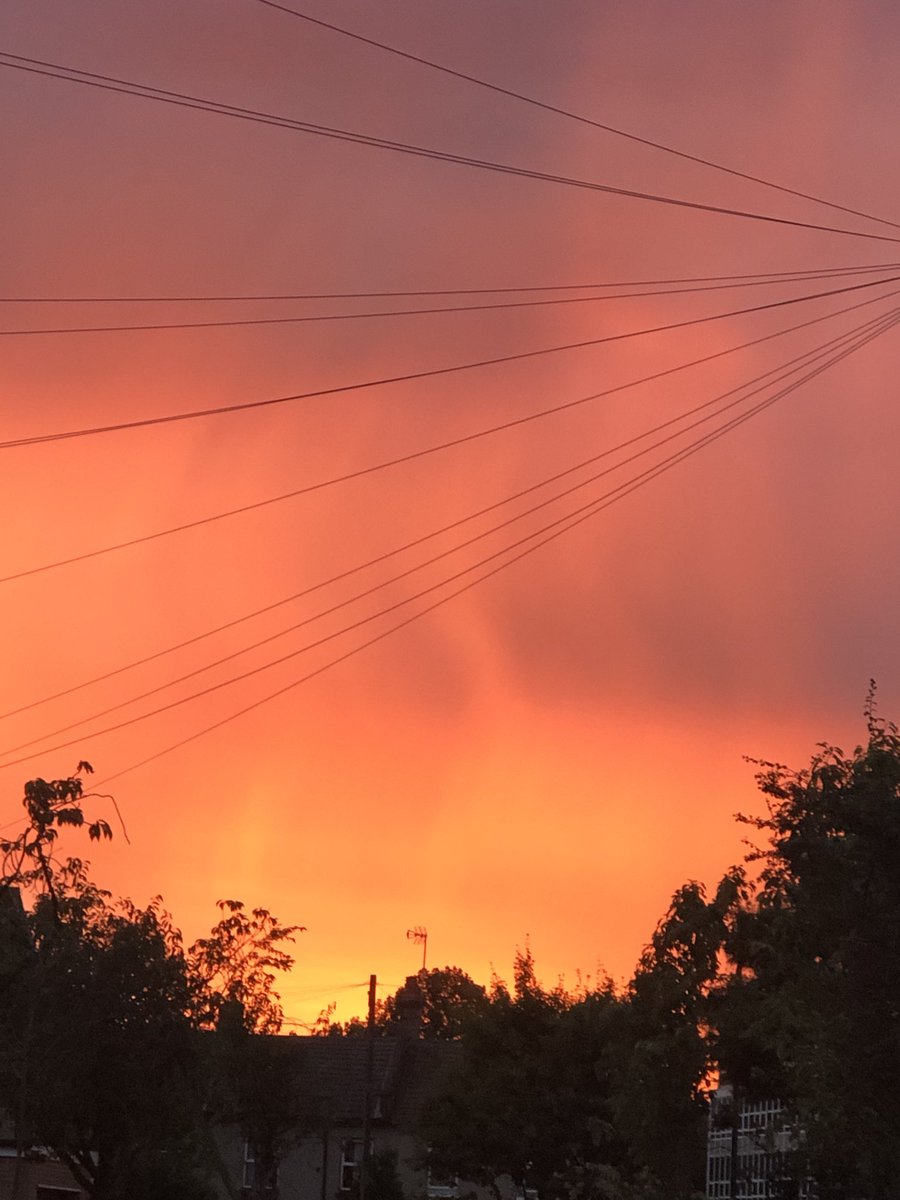 Beautiful sunset in north London tonight