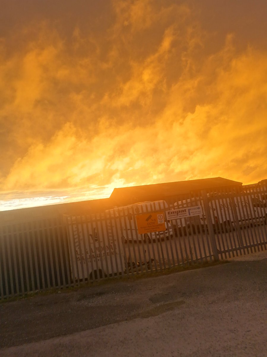 Lorraine Smith 🍊🦉💙 tweet media