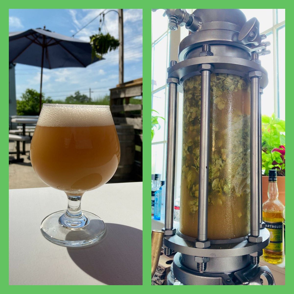 On Tap Today!  More: Citra - Brewed with 100% Citra hops, this beer has dank aromas of grapefruit and tropical fruits with a full-bodied, pillowy finish.  We are also running this deliciousness through the #infusiontower with whole cone Citra hops!  Cheers!