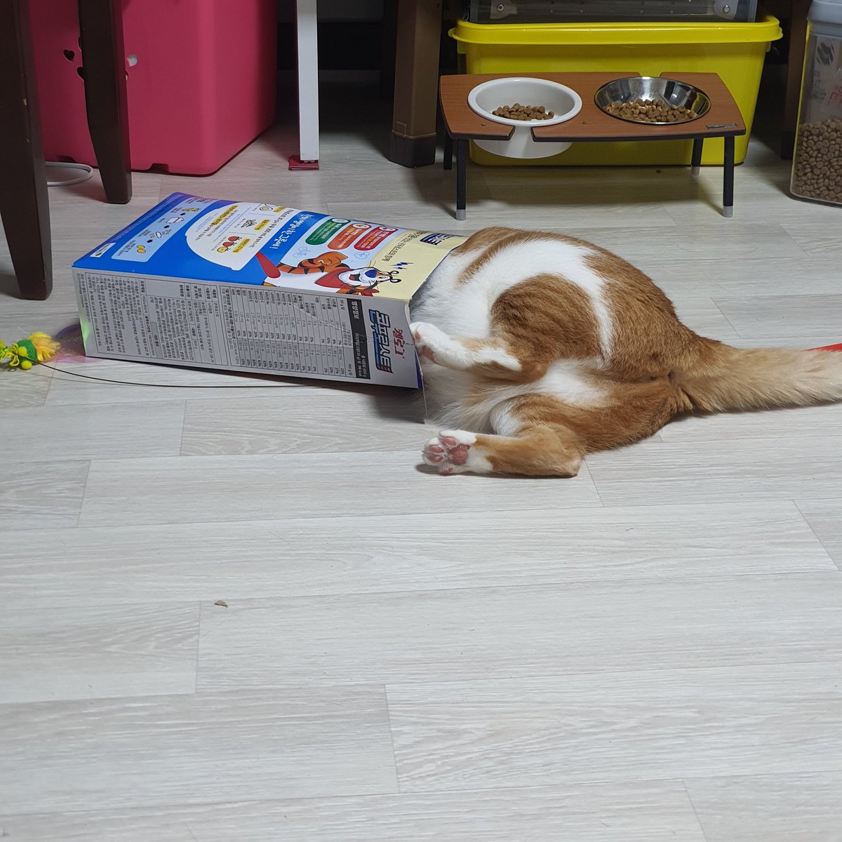 저것도 박스라고...