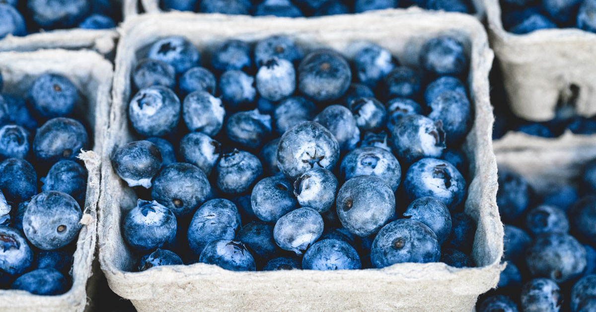 AADEinOR's tweet image. July is national blueberry month! Check out this month's blog post "The Power of Blueberries" written by Katrina Larsen.