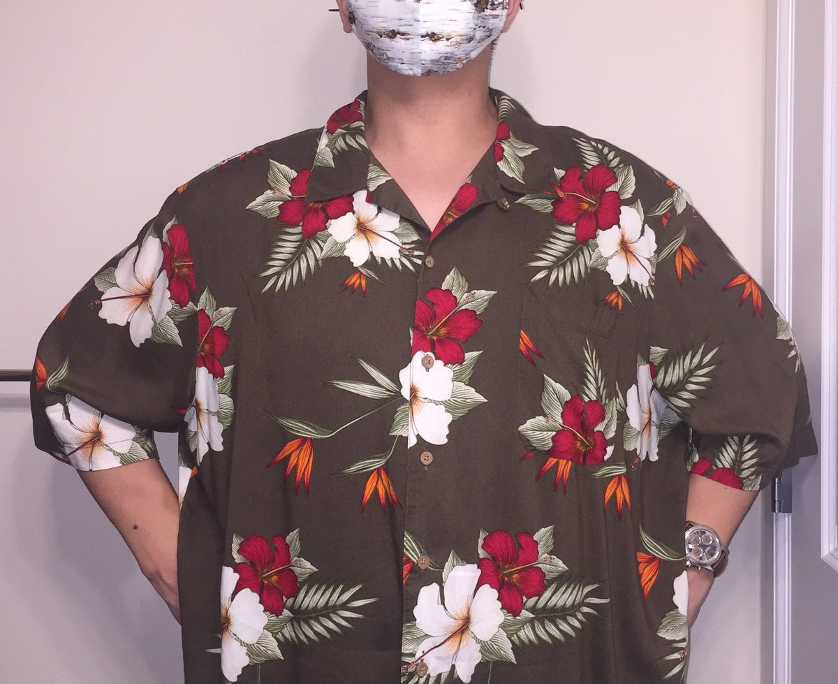 Today's shirt is an oversized Hawaiian shirt, in hopes you have an oversized #AlohaFriday!

#ShirtADay #QuarantineQloset