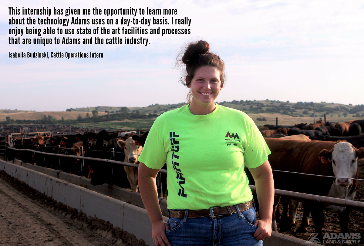 AdamsCattle's tweet photo. Meet one of our #ADAMSInterns...Isabella Budzinski from @FortHaysState! Isabella has had the opportunity to work in many aspects of operations, including Cattle Health, Processing, and Feeding. Take a look at what she enjoys most about her #internship. https://t.co/qqVQPrIEYw