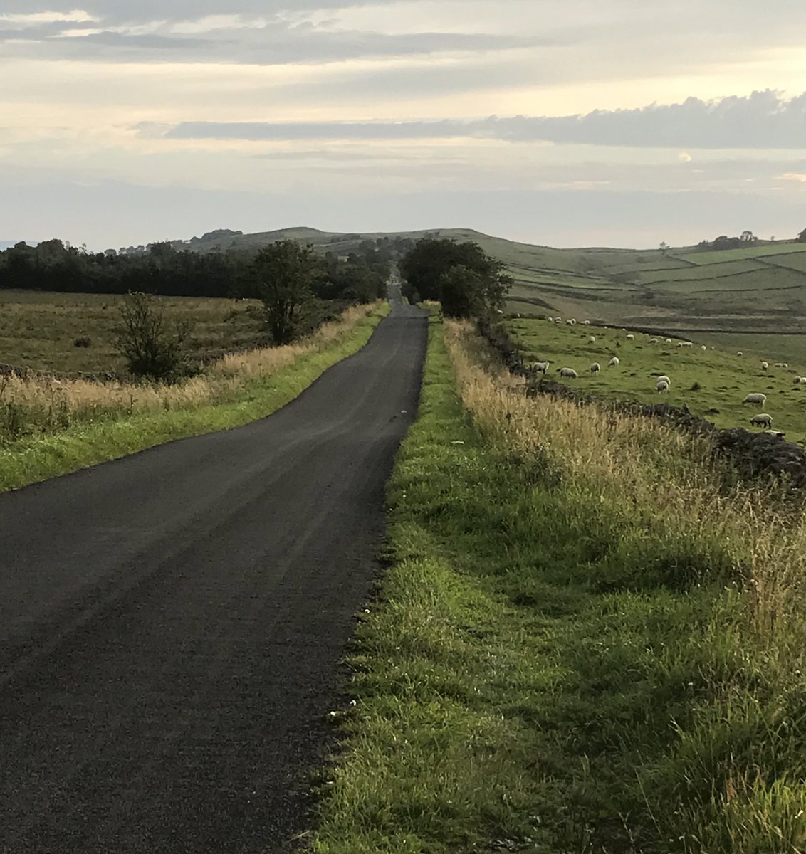 Great to walk on a road that was first constructed in the late 1st century AD..
#RomanRoads #RomanBritain #Archaeology #Northumberland