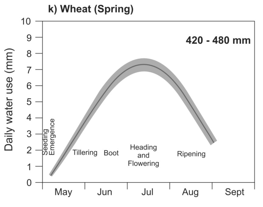 WWFCandWKfan's tweet photo. @BoychynJeremy @AlbertaWheat I like the Alberta Ag guidelines here, and you can see how this #AACViewfield wheat is guzzling water as it tries to fill in this hot weather @rgstone1 @mb_cropalliance @syngentacanada Should soon be seeing water use at 24β https://t.co/UcPj1QF4pw