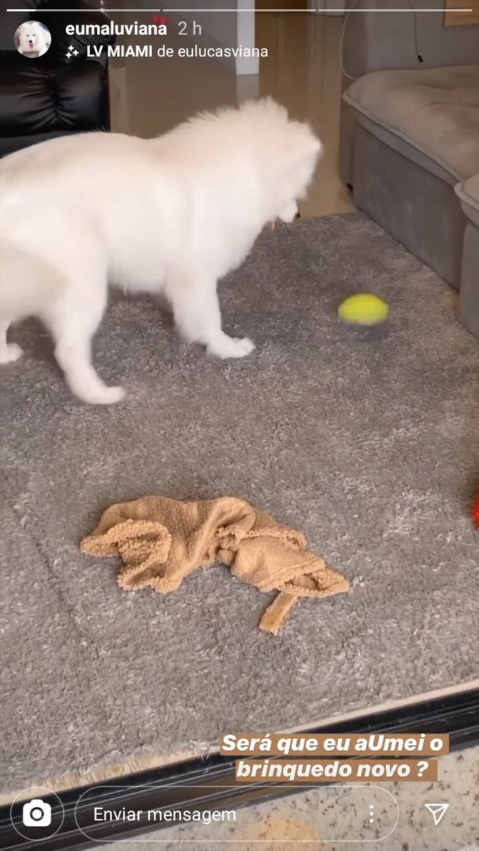 VANESSAGOULART6's tweet photo. Que amor ela brincando com o brinquedinho 😍😍😍😍😍😍
#NossoBebe https://t.co/VoY9yqEf8C