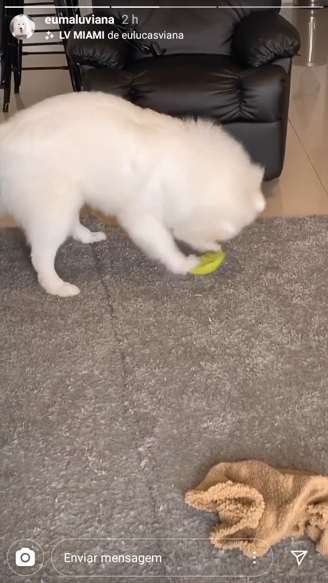VANESSAGOULART6's tweet photo. Que amor ela brincando com o brinquedinho 😍😍😍😍😍😍
#NossoBebe https://t.co/VoY9yqEf8C