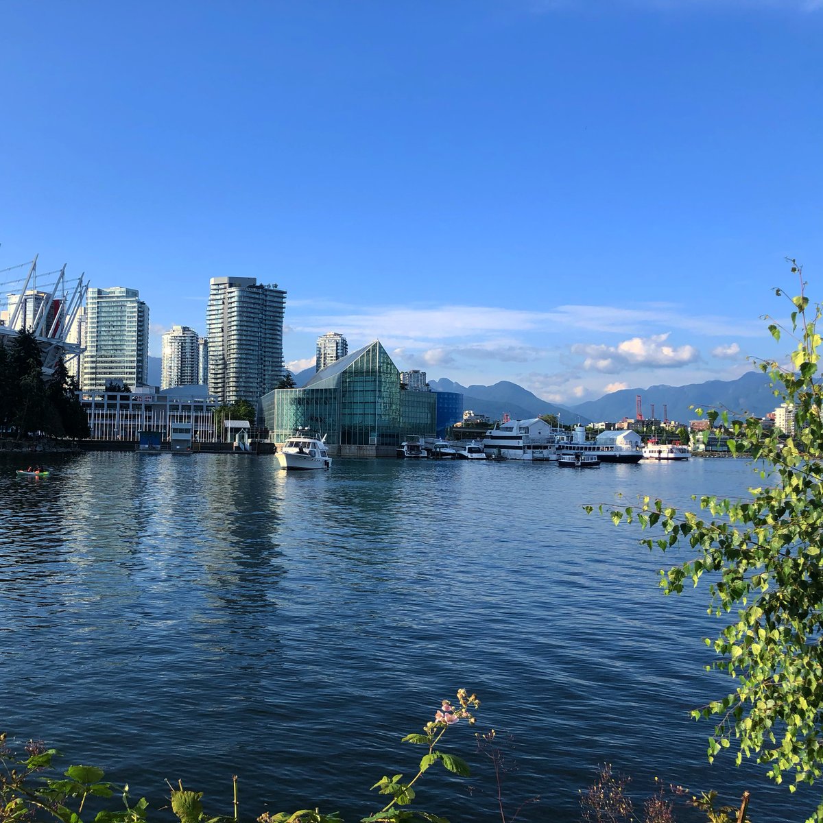 A lovely morning in Vancouver #FridayFeeling 
Who is looking forward to the long weekend? 
#bcpoli #avtweeps #proav