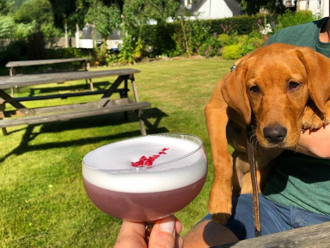 Thanks to everyone who has visited us over the last two weeks.

We're so grateful for your support, and we've loved seeing you all again after so long.

Don't be strangers! Book your table for next time by calling 01340 881 204

📸@timeforadaunder on Instagram