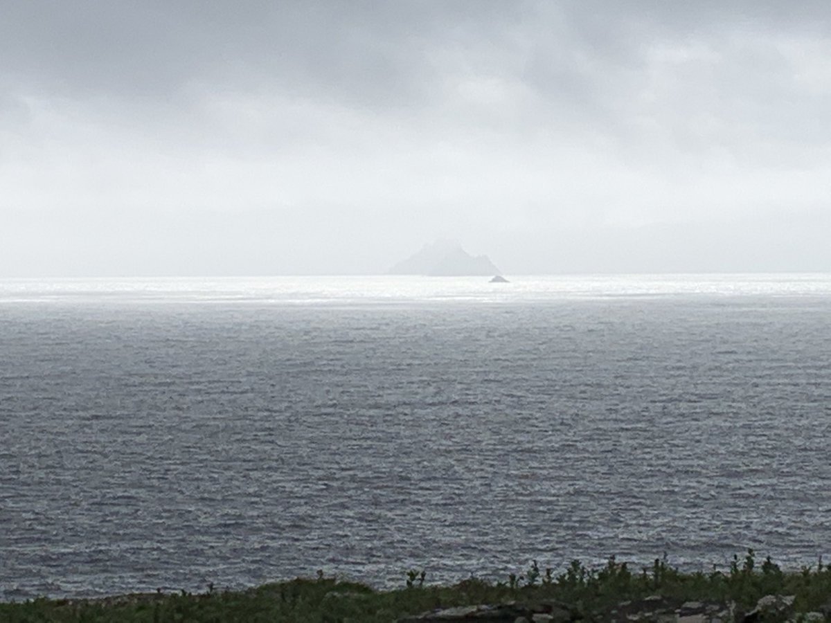 Hugh Daly tweet media