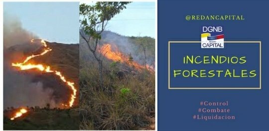 RedanCapital's tweet photo. #31Julio Nuestro deber como ciudadanos es cuidar nuestro ecosistema, mantener nuestras áreas verdes nos garantiza mejor ambiente para la comunidad. Evitemos el deterioro y los incendios provocados, seamos conscientes.
@MIJPVenezuela @VipresegOficial @DGNBEnLinea https://t.co/TvqeZ7d3O1