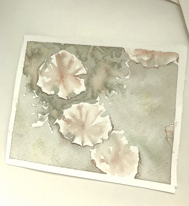 nursam_art's tweet photo. #watercolor #water #drawing #drawnature #draw #arte #artist #art https://t.co/APZHsQKPGe