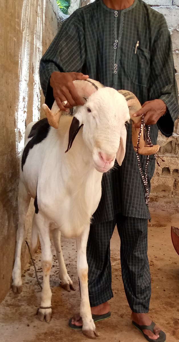 IssaBah16's tweet image. Bonne fête à tous et à toutes